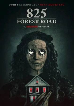 O'rmon yo'li / Forest road 825 Uzbek tilida O'zbekcha 2025 tarjima kino HD Full skachat